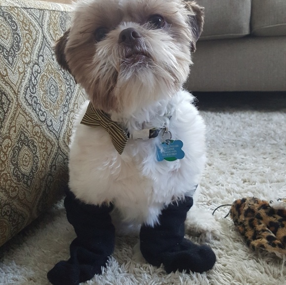 20% off 2+ items & a private offer - Picture 2 of 2